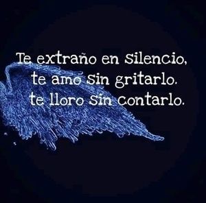 Meet your Posher, Nely